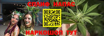 стаф Бузулук